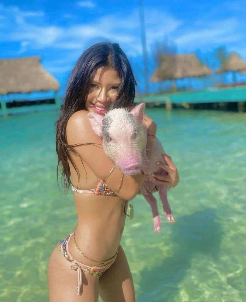 Little French Key Mini Pig Swim Little French Key Mini Pig Swim