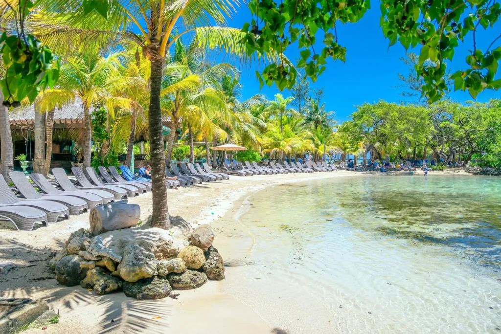 little french key mahogany bay